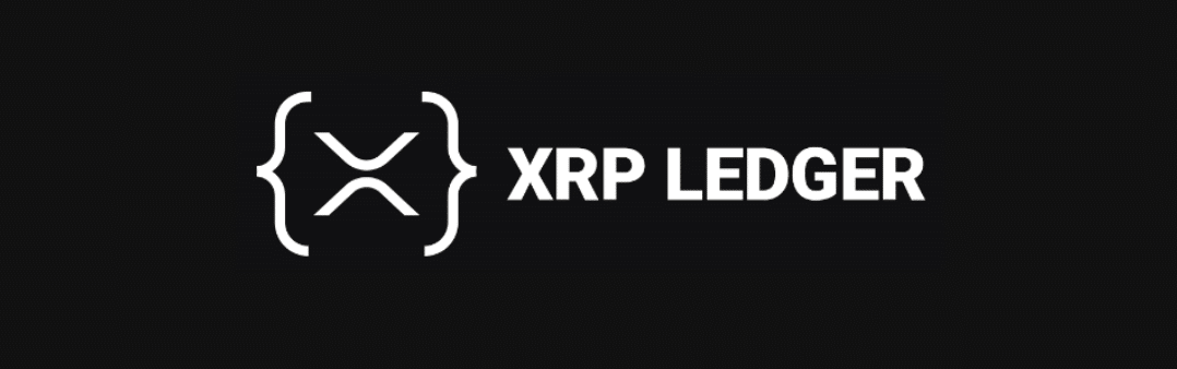 XRP, Ledger, Ripple, Ripple X, réseau