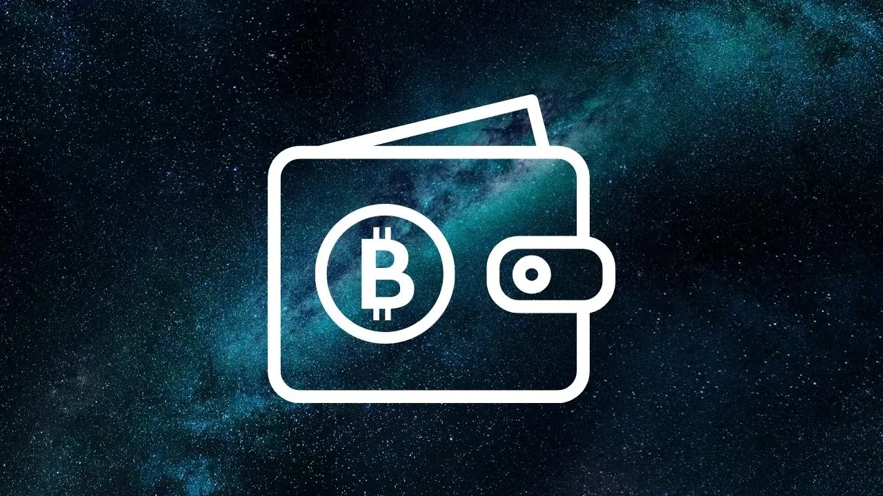 comment stocker ses wrapped bitcoin sur un hot ou cold wallet