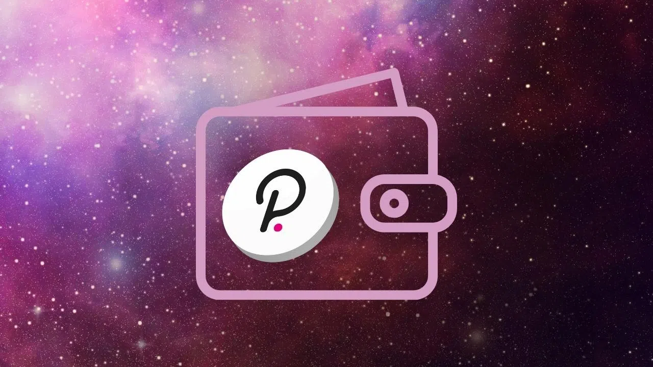 comment stocker ses dot sur un hot ou un cold wallet