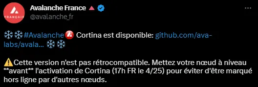 Tweet d'Avalanche France mise à jour Cortina