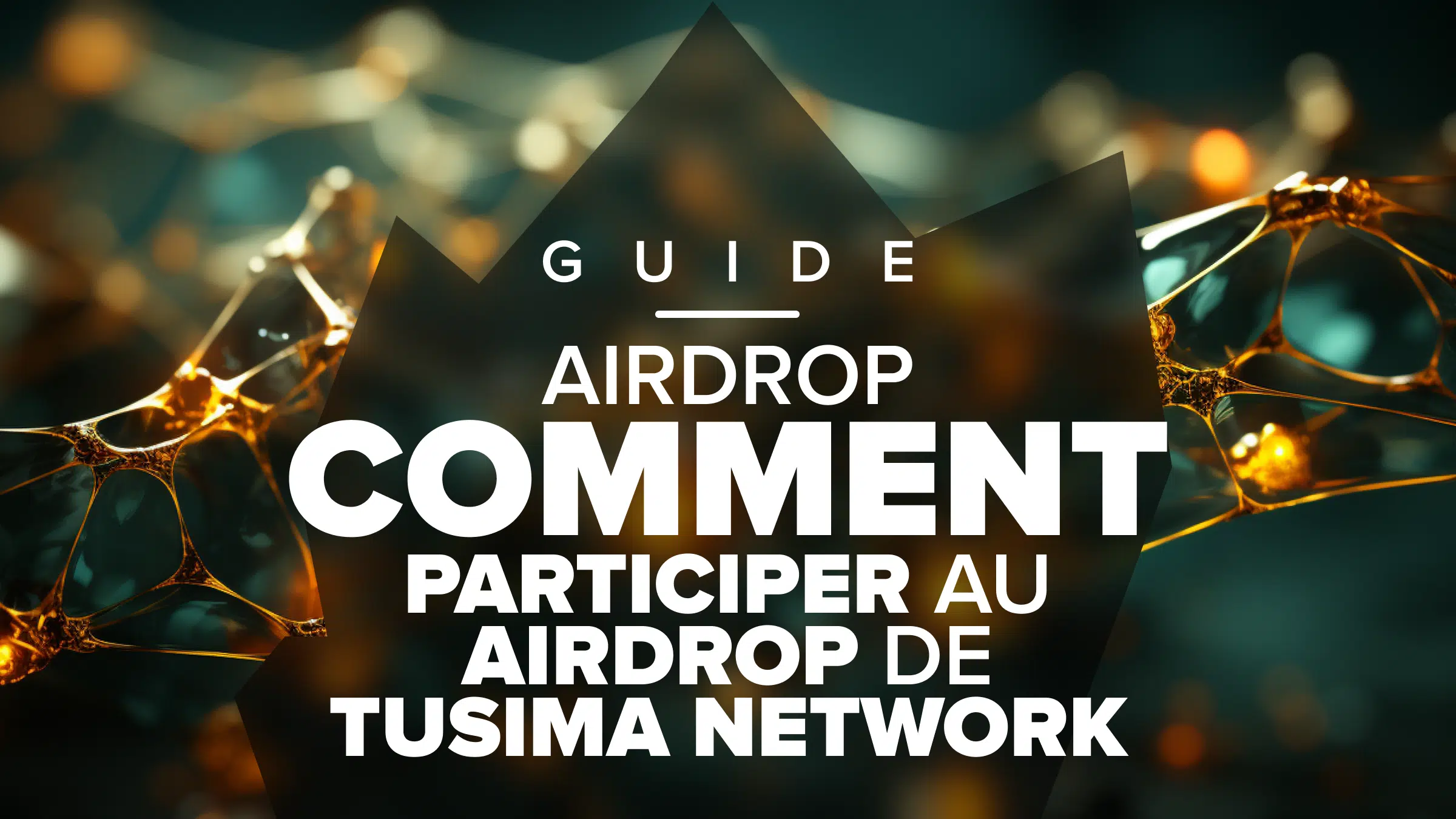 guide pour participer au airdrop de tusima network