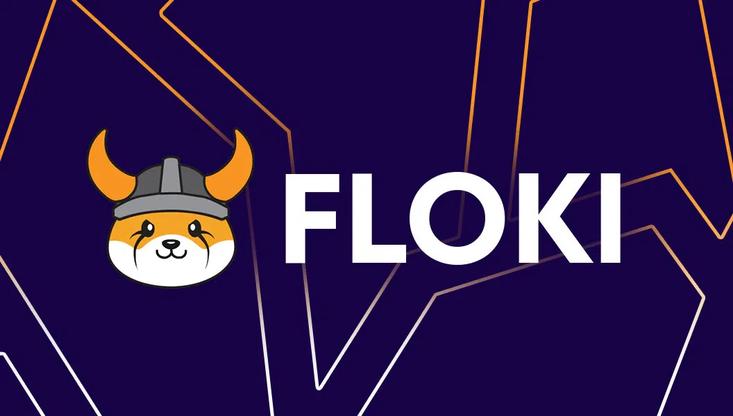 notre avis sur le memecoin floki