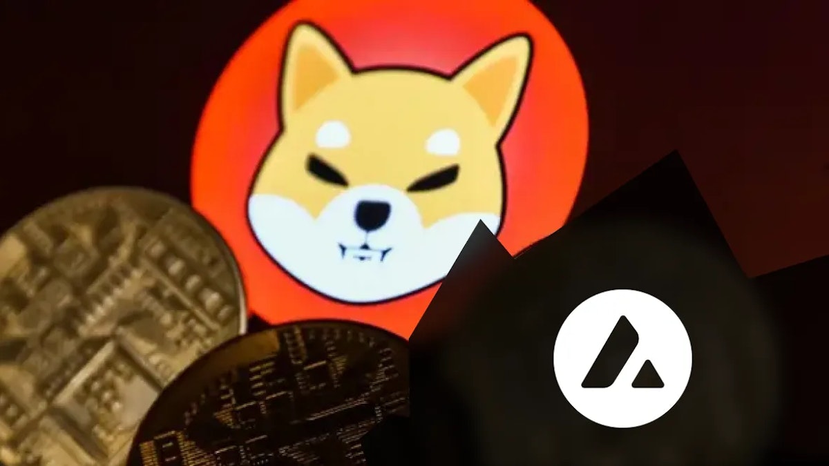 La fondation Avalanche va investir des millions de dollars dans les memecoins