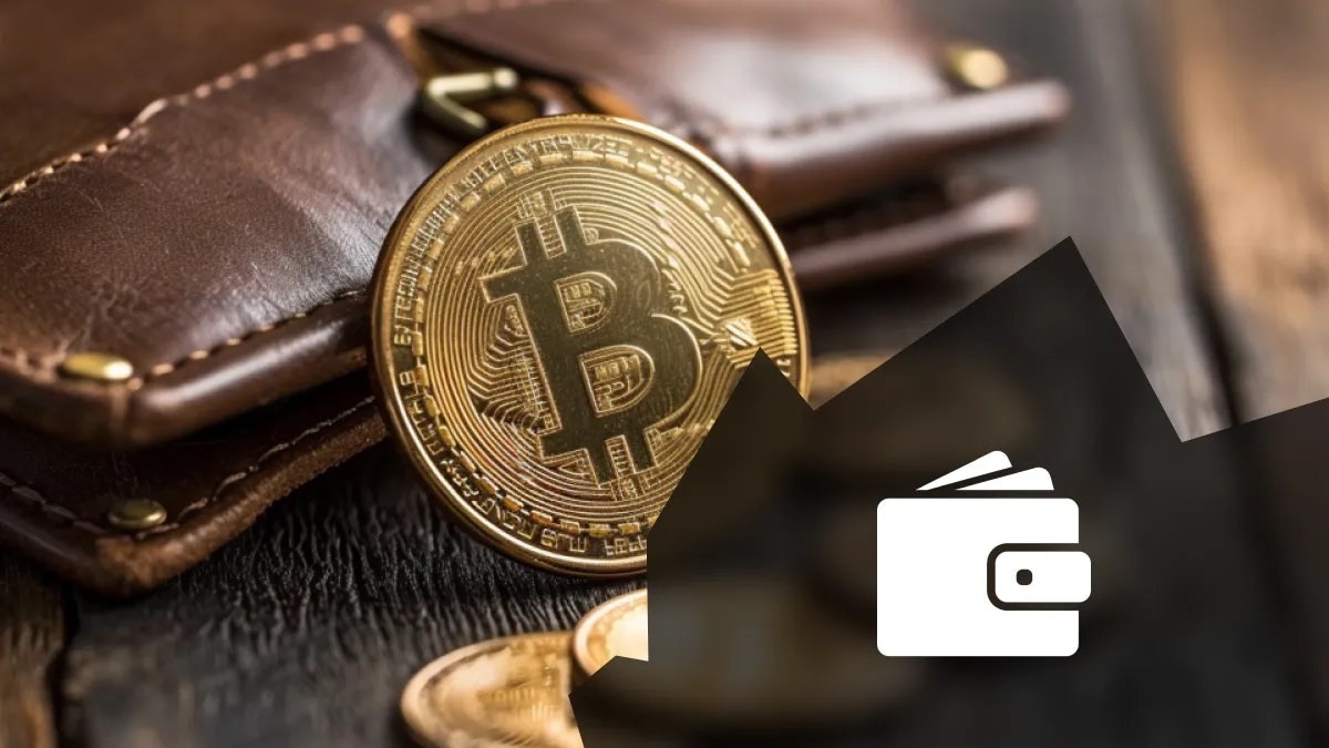 Ou Acheter Bitcoin Physique Office 365 Portefeuille Crypto Ballet Real  Litecoin - Carte Stockage Froid, Multi-devises Wallet Matériel LTC Wallet  Crypto