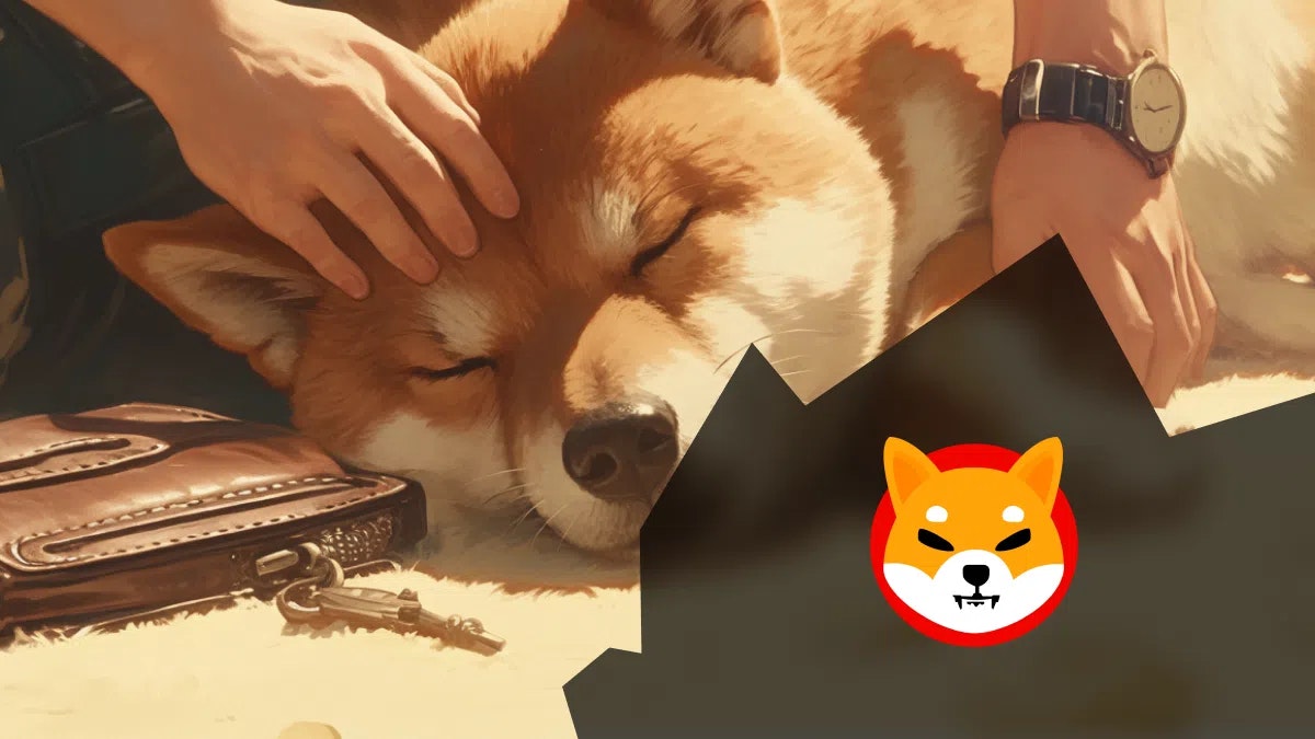 Enfin une solution de cold wallet pour les détenteurs de Shiba Inu