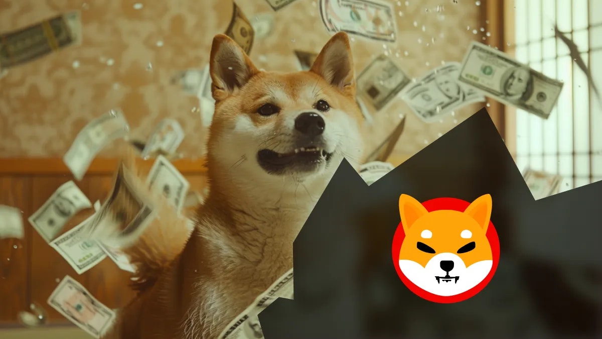 Shiba Inu fait sensation à la télévision américaine : le prochain coup à jouer ?