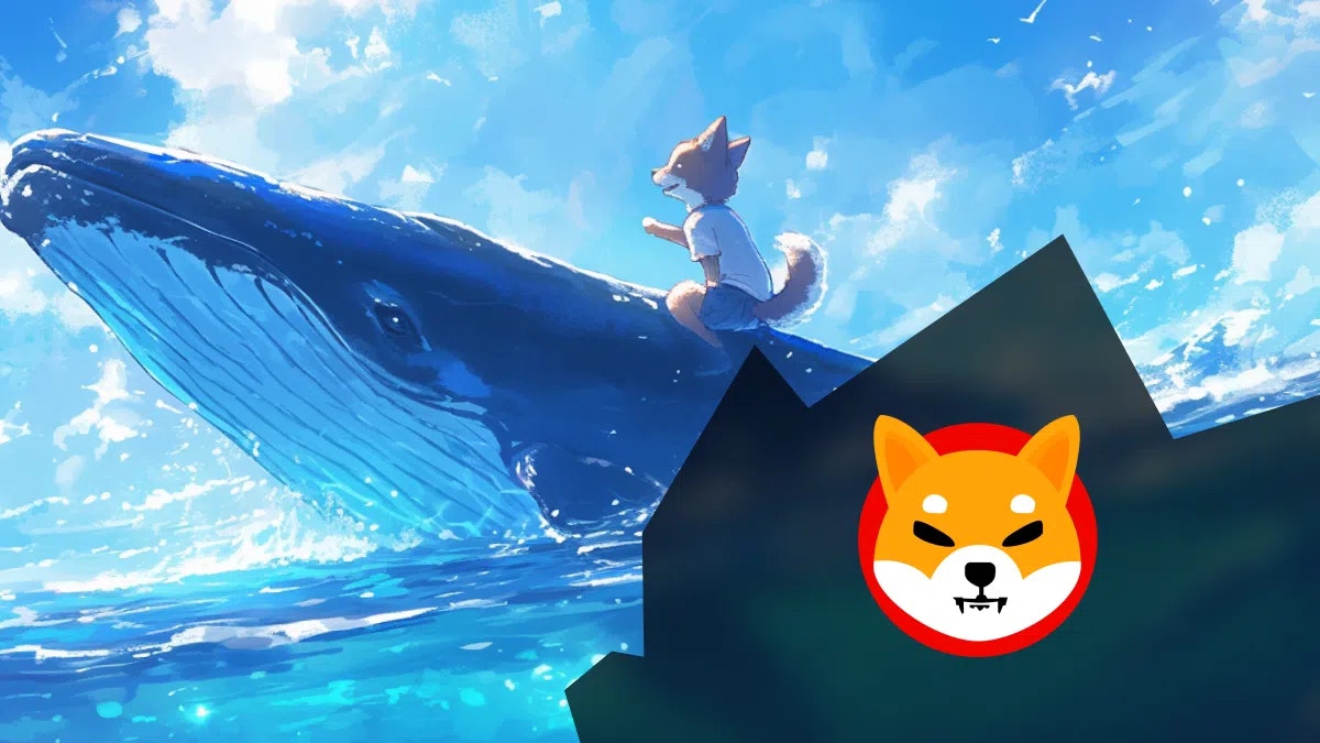 Explosion du volume des transactions des baleines sur Shiba Inu : que se passe-t-il ?!