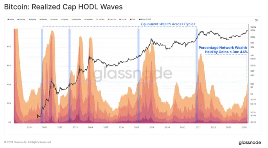 bitcoin realized cap hodl waves glassnode