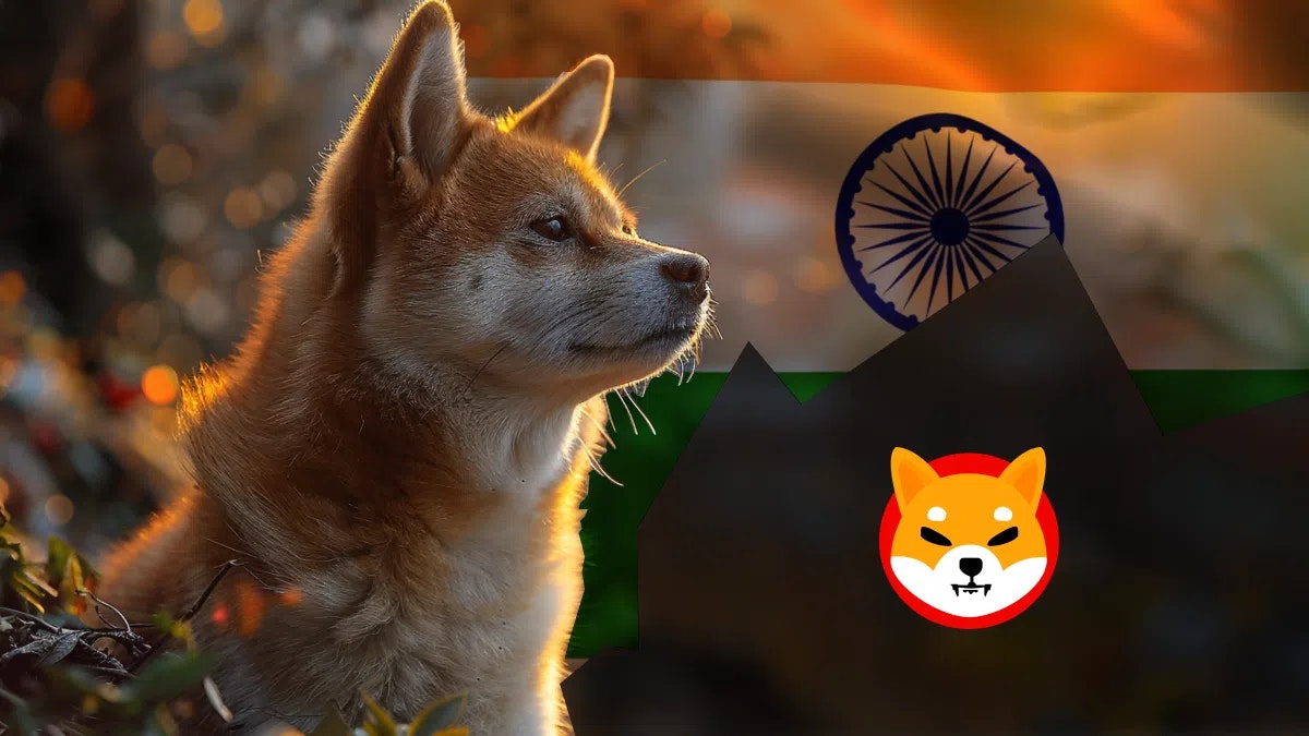 Le Shiba Inu (SHIB) est la crypto star en Inde : comment l'expliquer ?