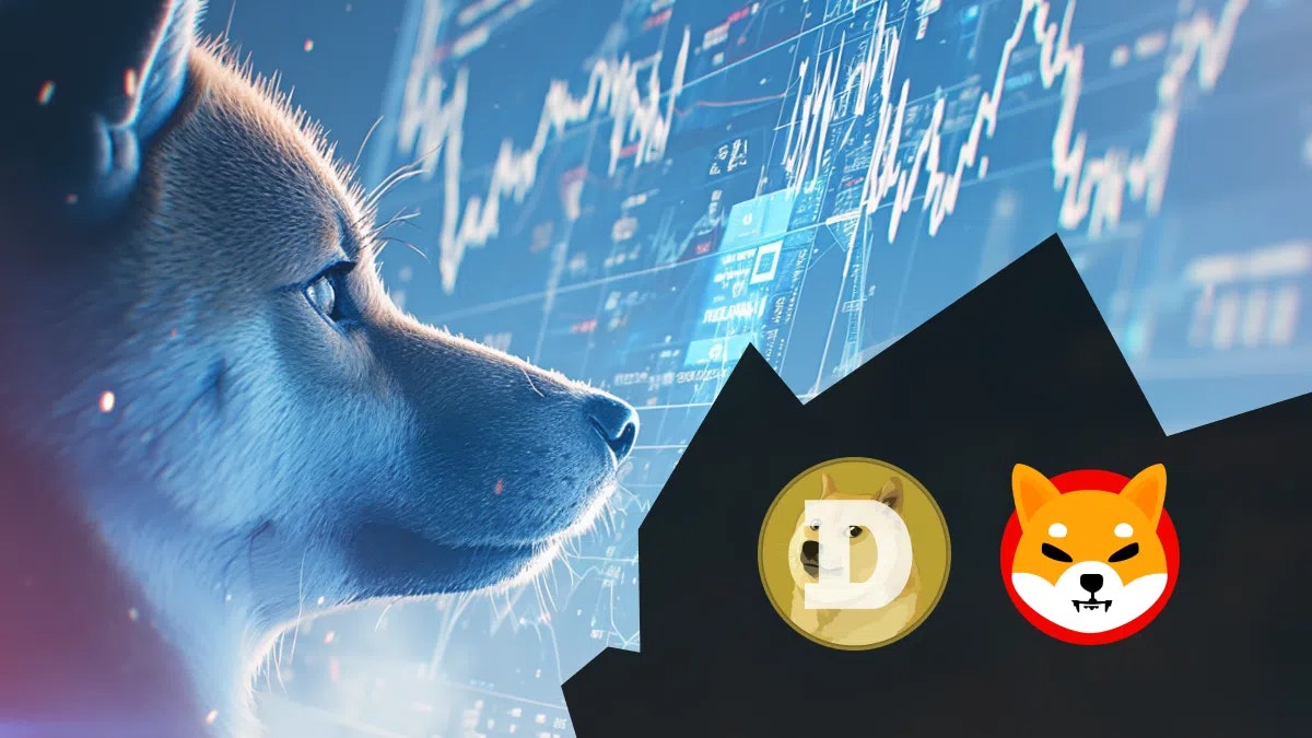 Dogecoin (DOGE) et Shiba Inu (SHIB) se prépare à une hausse de +100 % selon les analystes