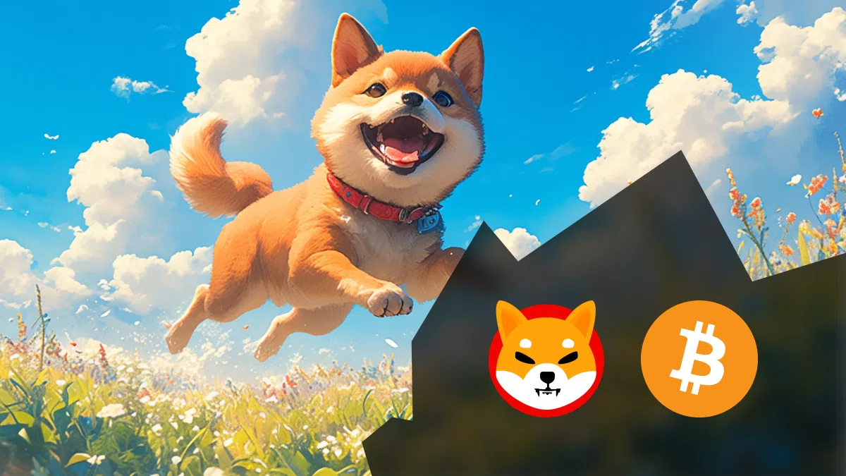 hausse optimiste pour le shiba inu et le bitcoin