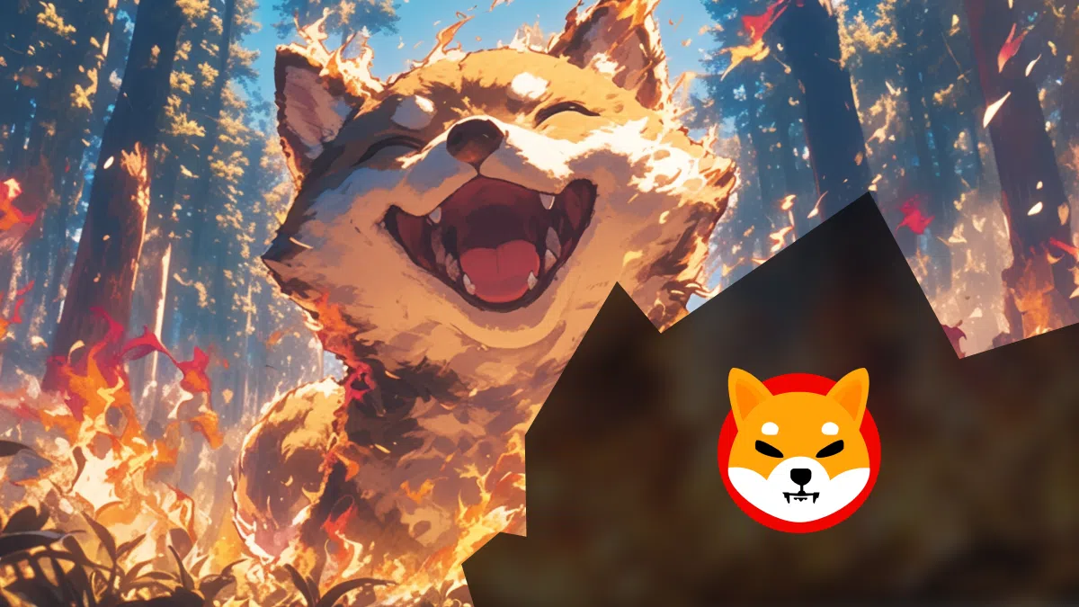 burn du shiba inu comment ça fonctionne