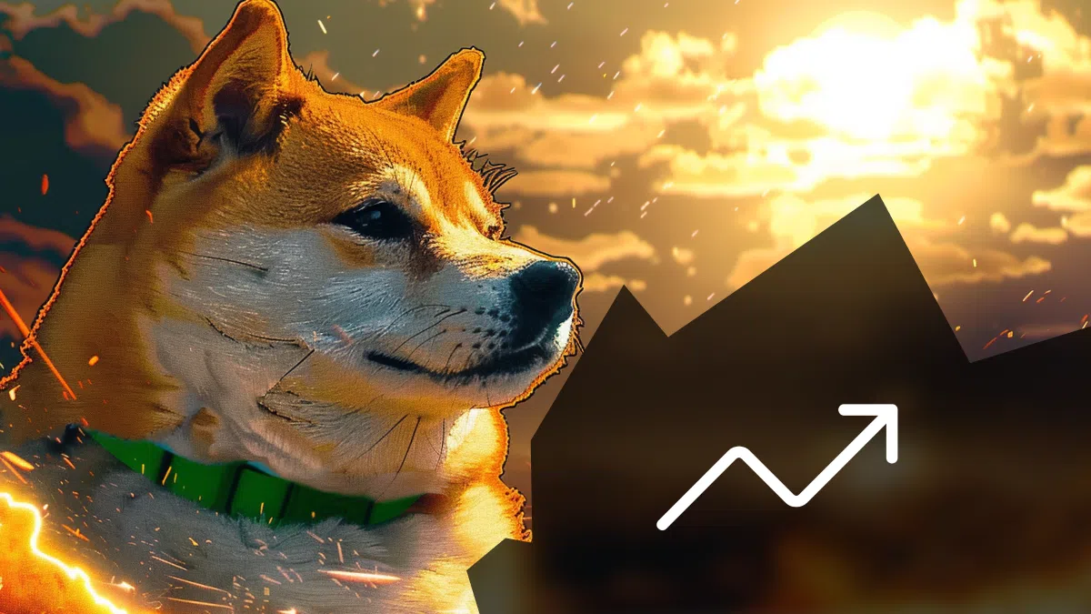 montée des memecoins dont le dogecoin