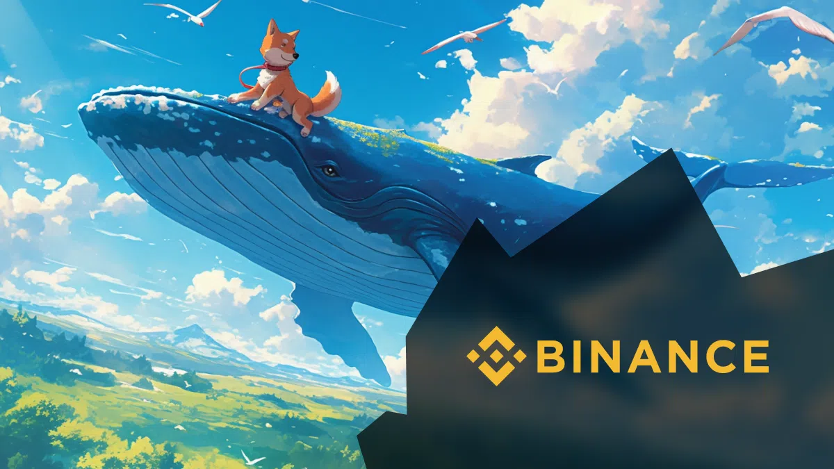 des baleines vont vendre leur shiba inu sur binance