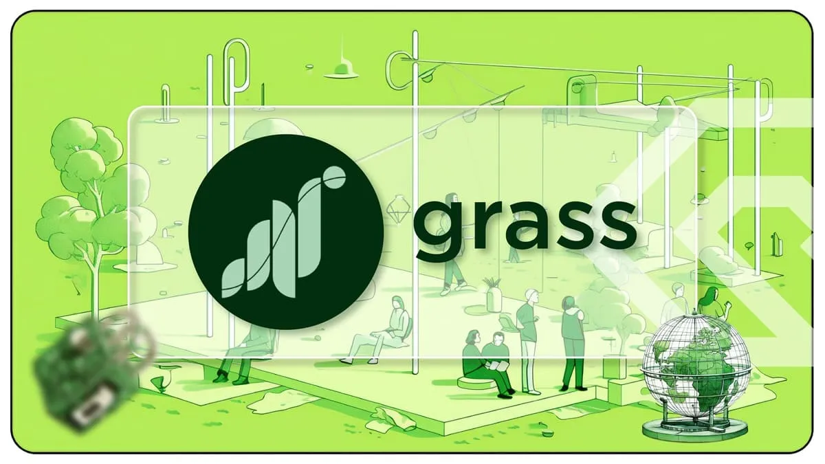 Qu'est-ce que Grass ? avis détaillé grass