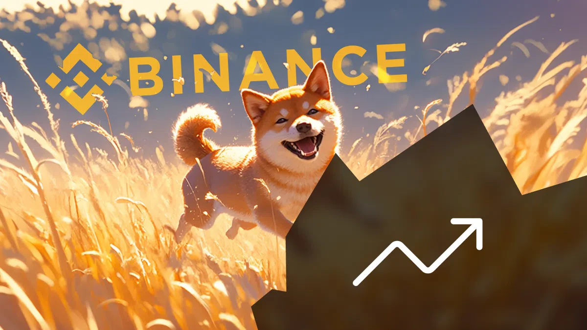 binance shiba inu