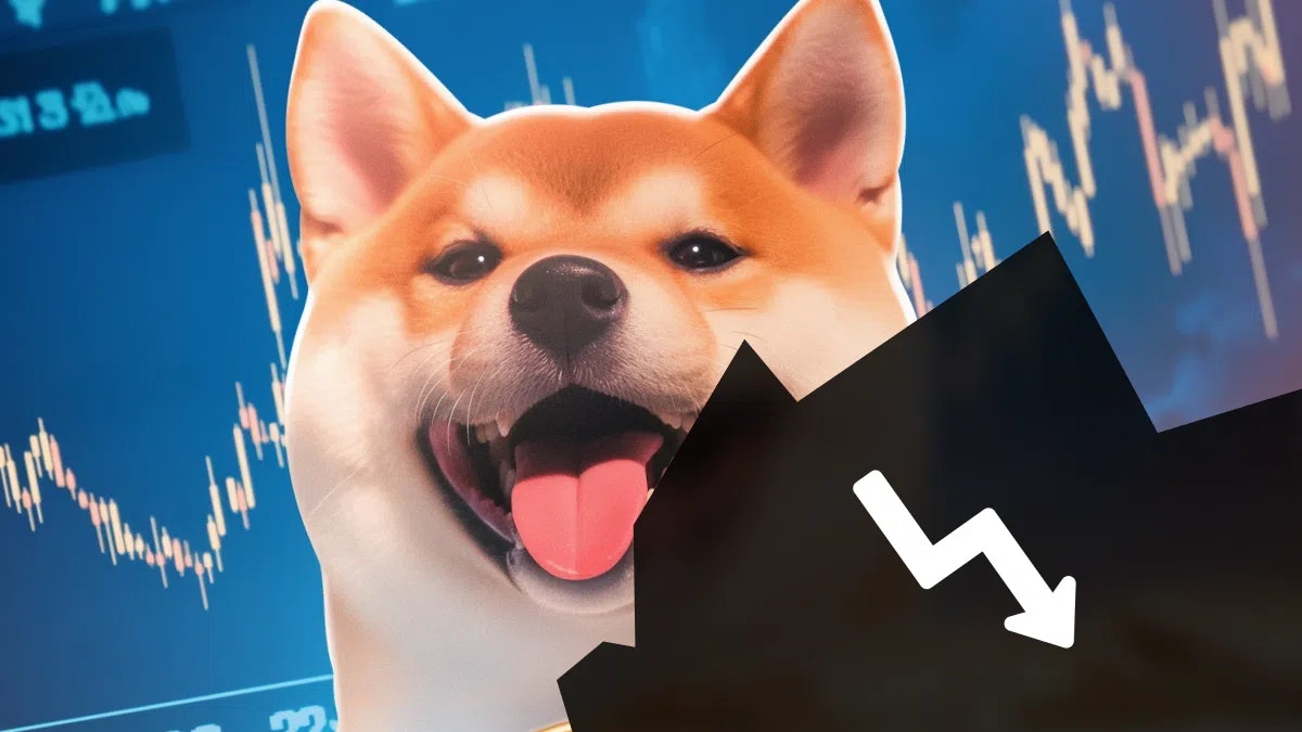 Shiba Inu (SHIB) sous pression vendeuse avec 22 milliards de SHIB prêt à être vendus : que se passe-t-il ?