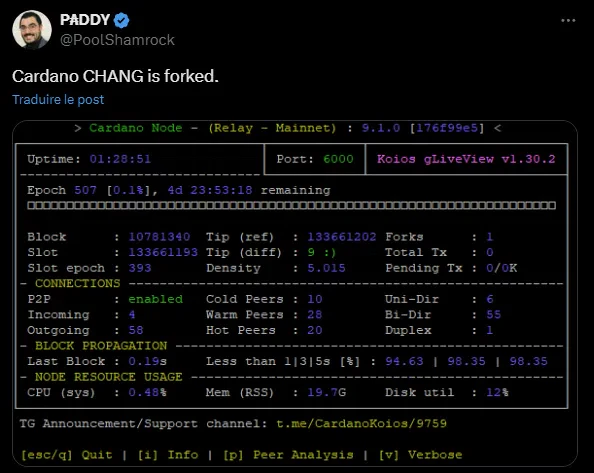 le tweet de paddy sur cardano chang