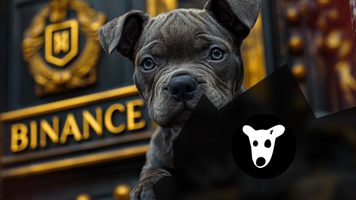 ajout du dogs sur binance