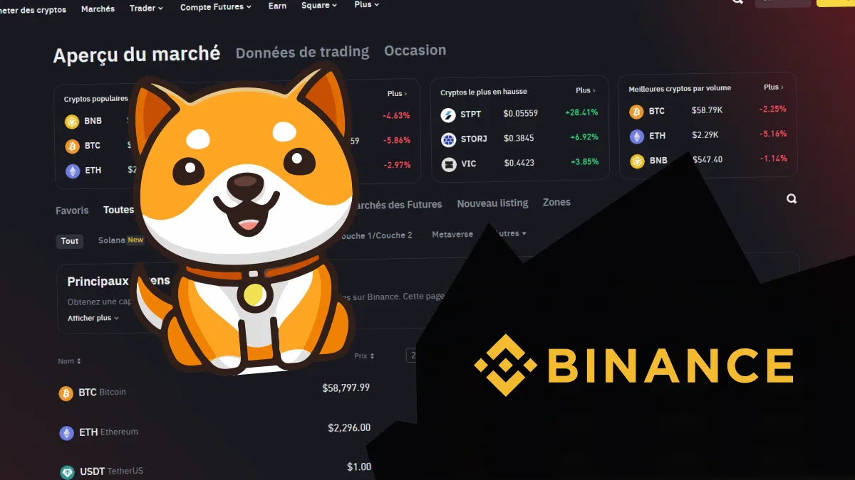 binance baby doge coin