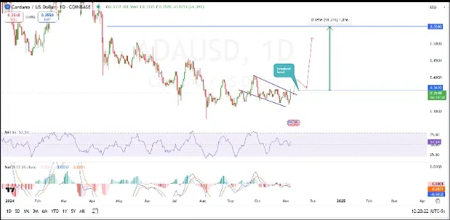 Cardano vise une hausse de 51 %