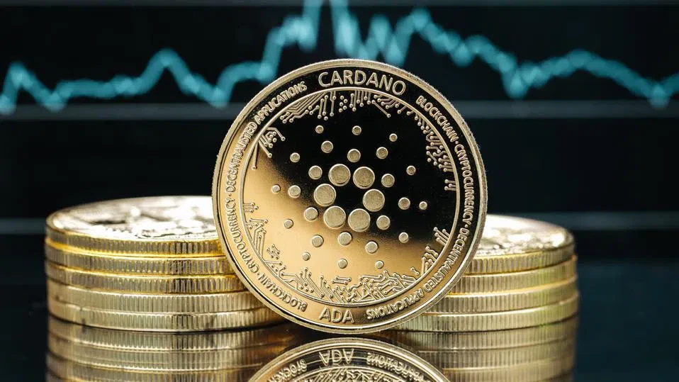 Cardano vise 1 $