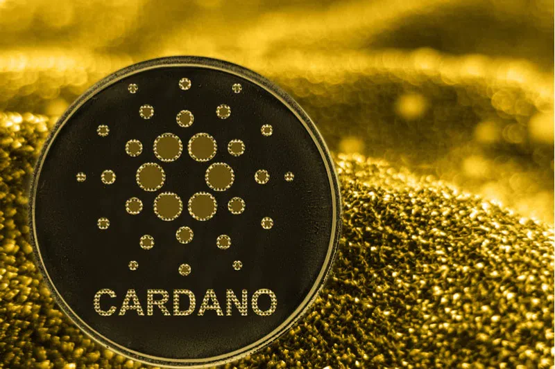 Cardano : une trajectoire haussière