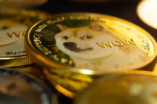 Les Enjeux pour Dogecoin