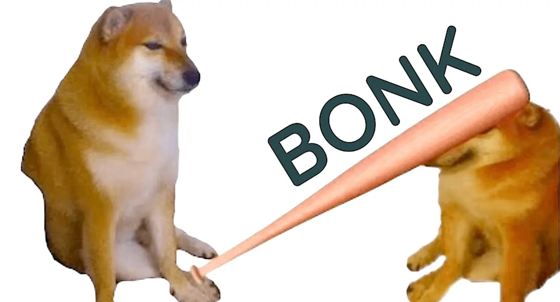 meme de bonk