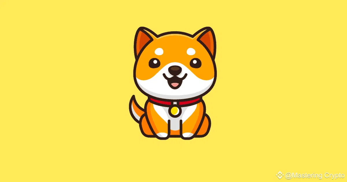 illustration et logo du baby doge coin