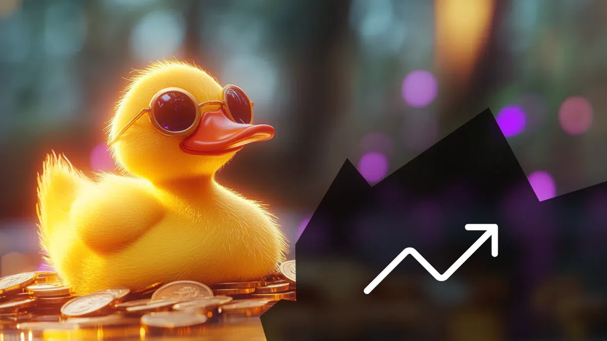 investissement sur la duckchain