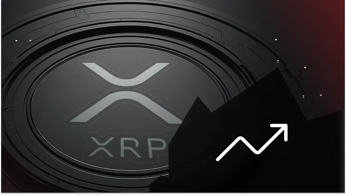 xrp boost dubai