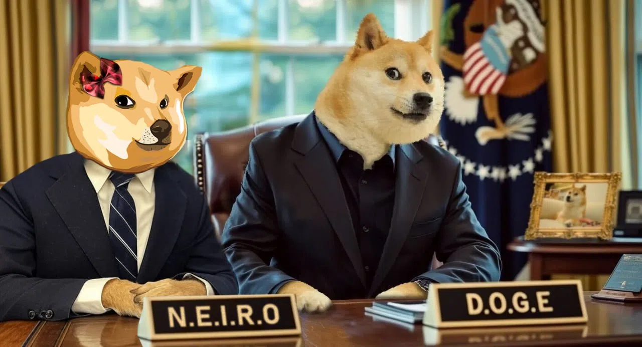 neiro la soeur du dogecoin