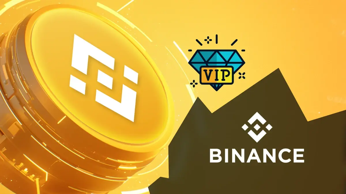 Binance VIP Token