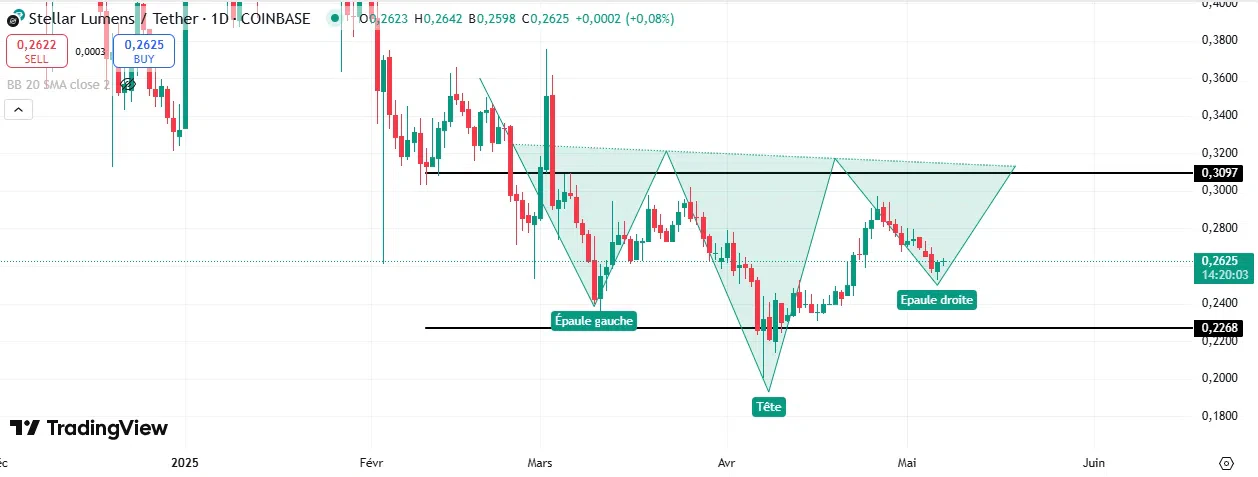 Graphique XLM
