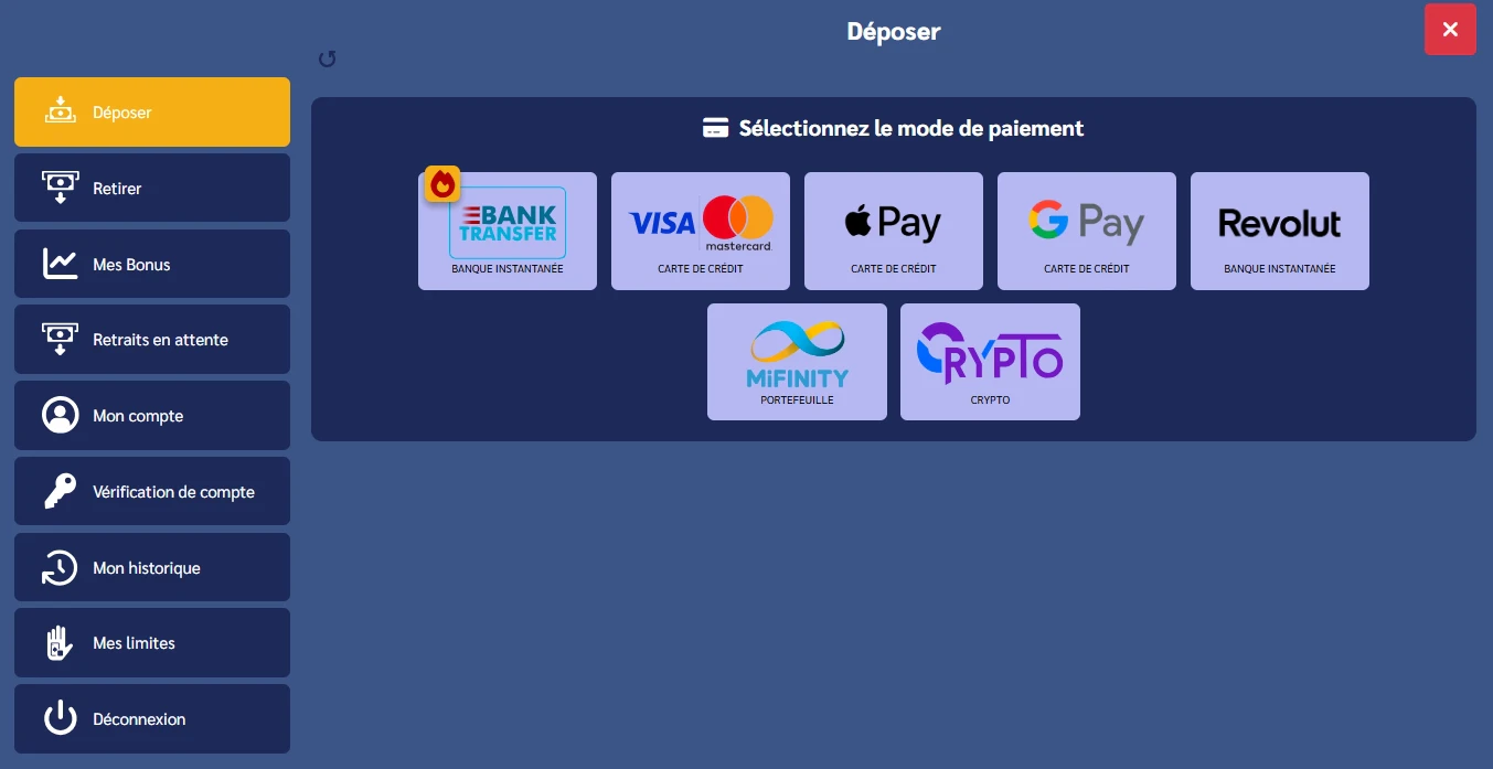 Les méthodes de paiement sur Shiny Wilds