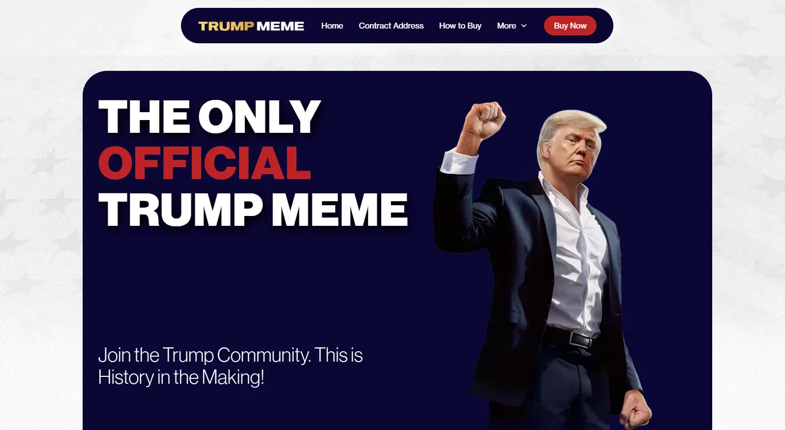 le site du memecoin de trump