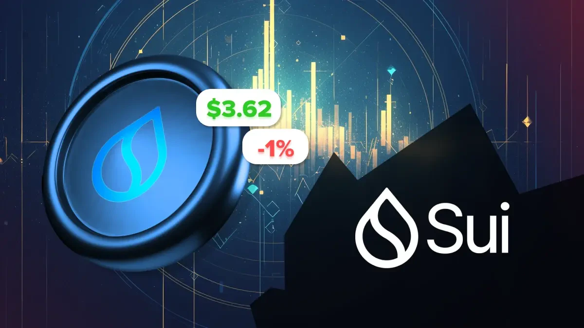 Sui Network Sui Network