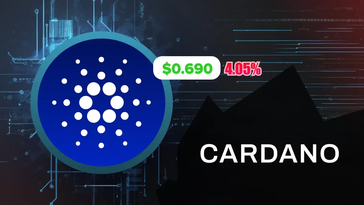 CARDANO Hausse