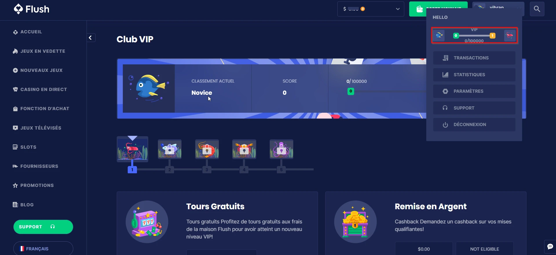 Le programme VIP de Flush Casino
