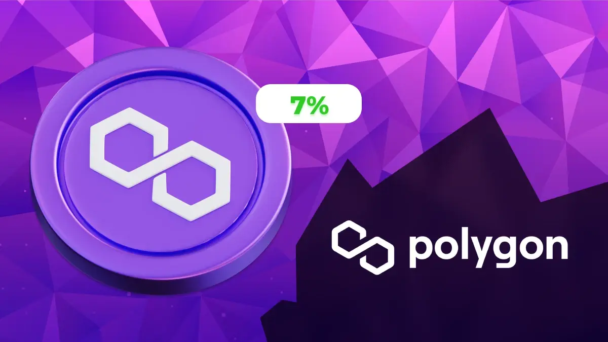 réseau Polygon hausse