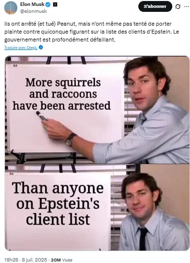 Elon Musk tweet PNUT