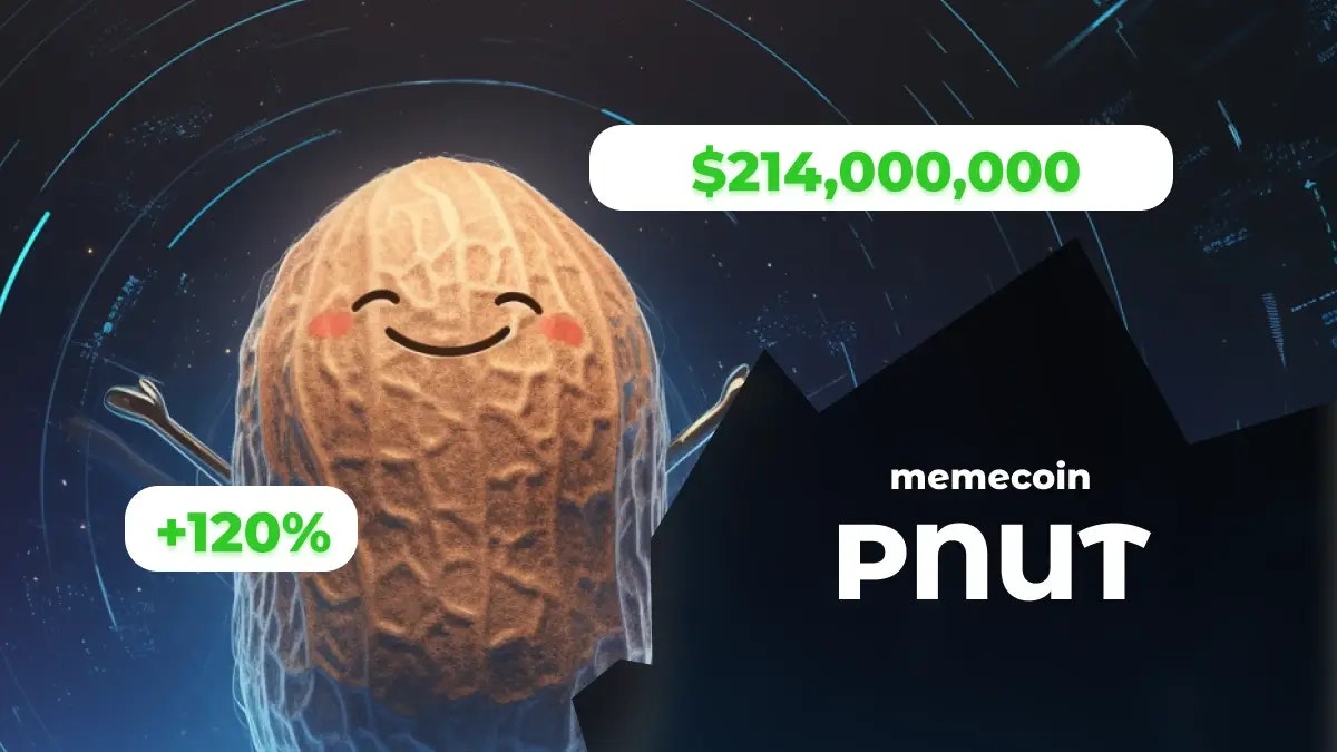 « Vous avez tué Peanut... » Le tweet d'Elon Musk fait exploser cette crypto de +120 %