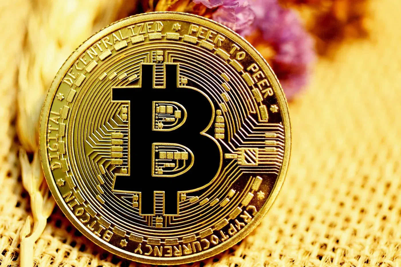 bull run crypto