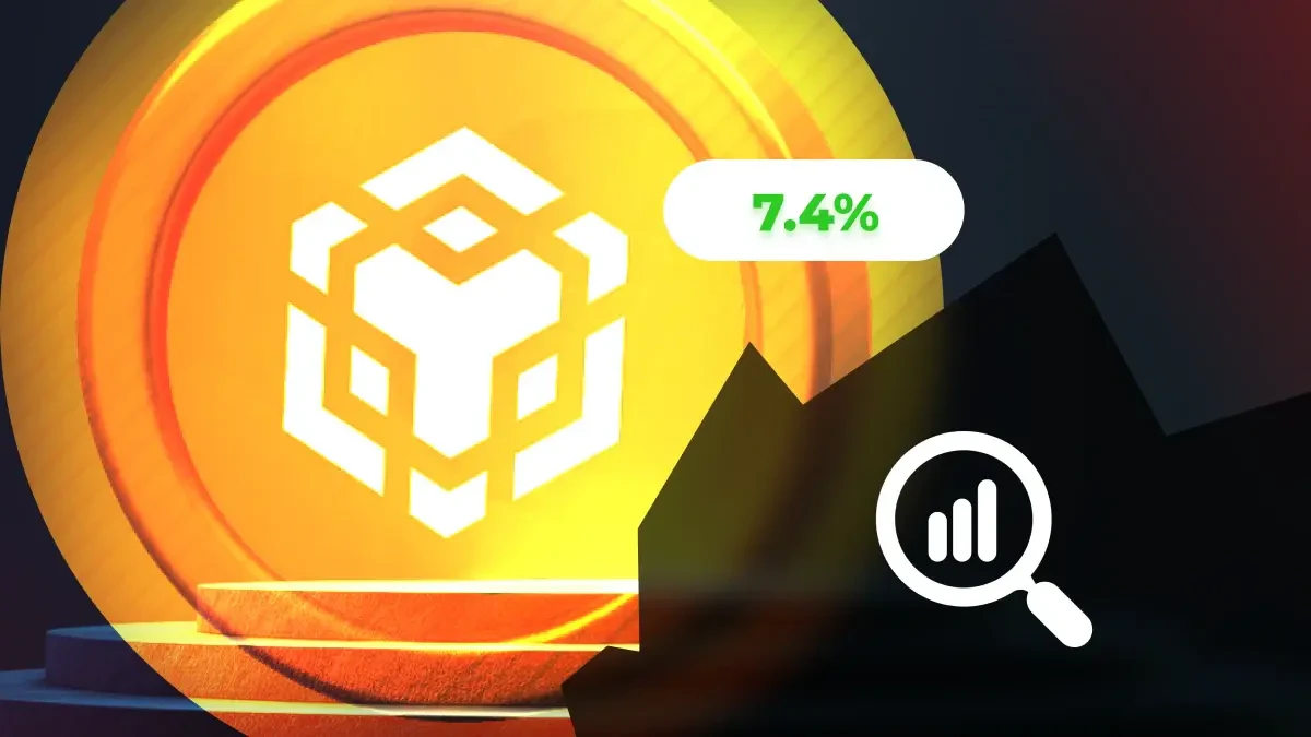 meme coins sur BNB Chain