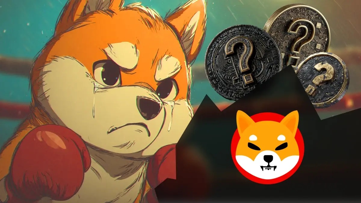 Meme coins : SHIB est-il en train de se faire dépasser par BONK et RTX ?