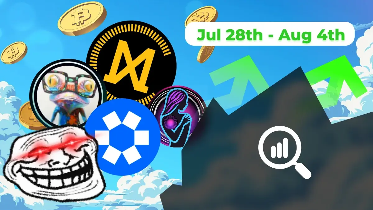 Top 5 des cryptos