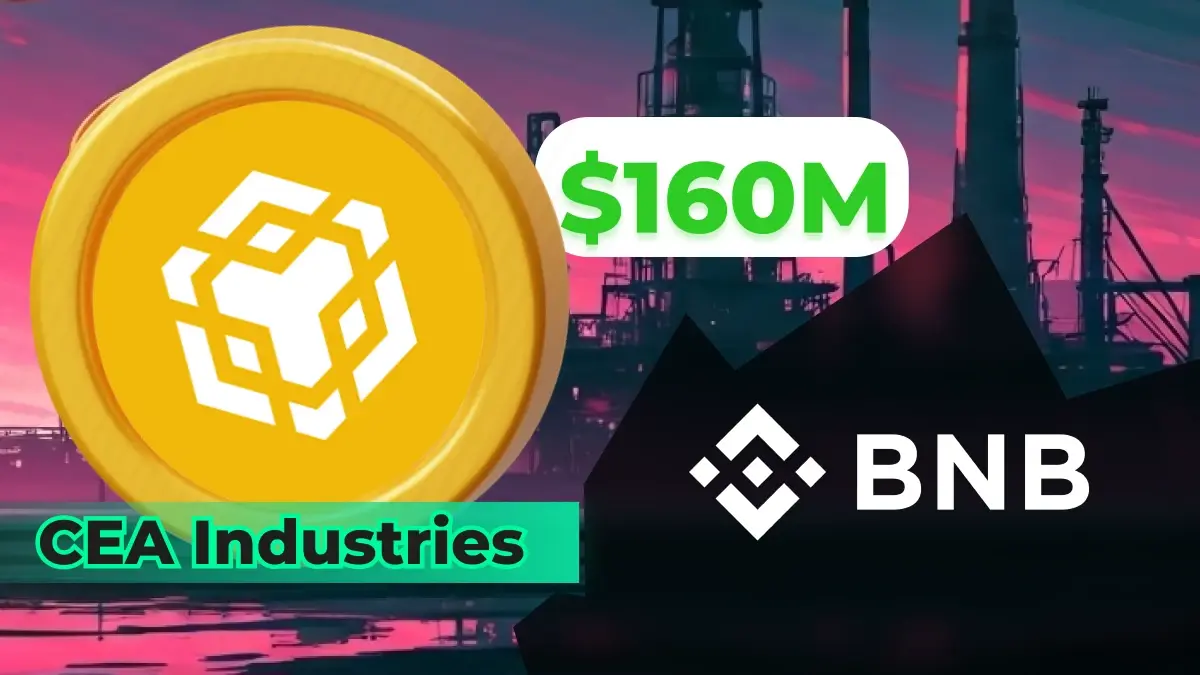 CEA 200 000 BNB achetés