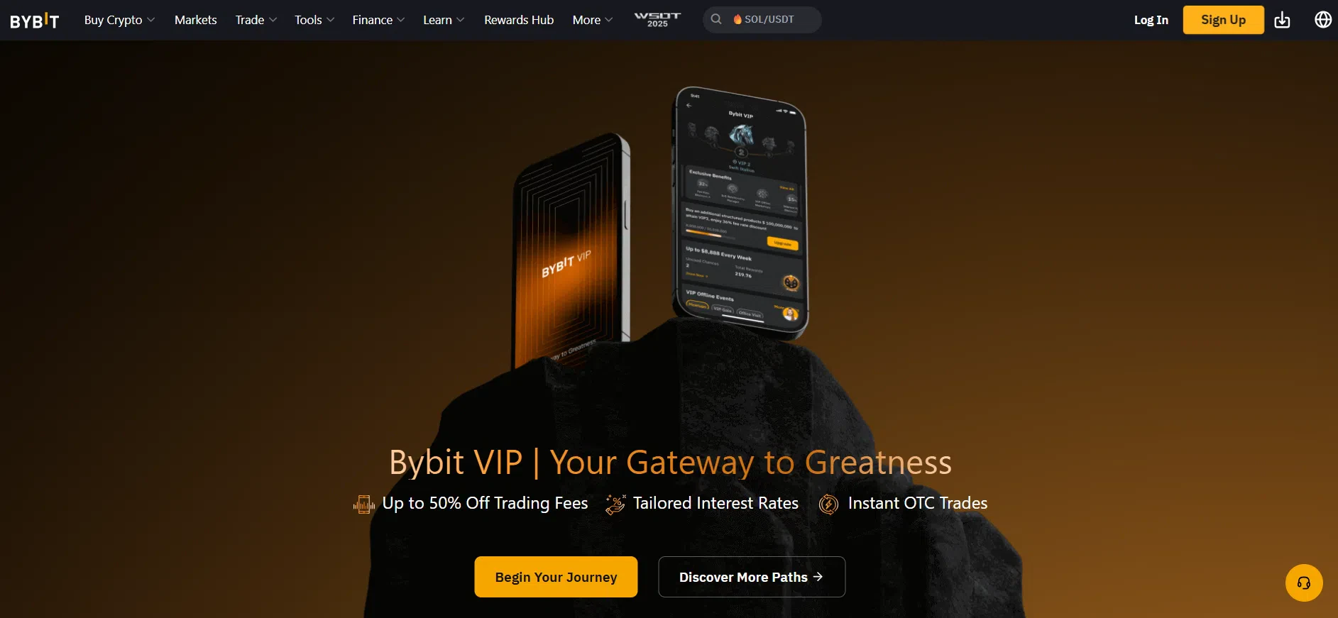 Bybit programme VIP