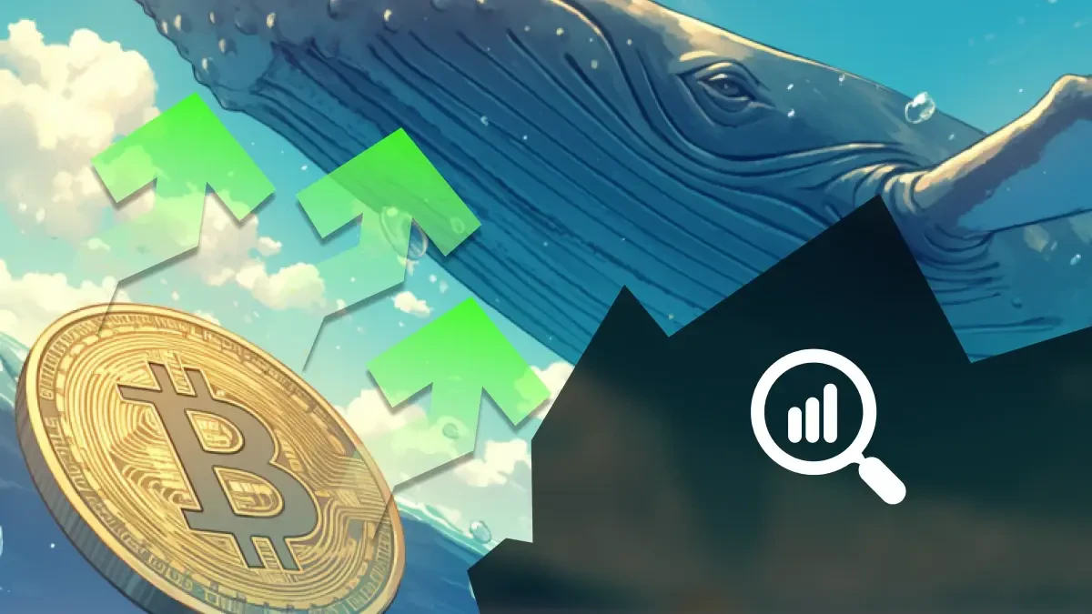 Bitcoin accumulation record
